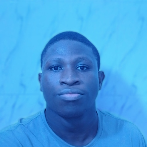 Peculiar  N. profile photo