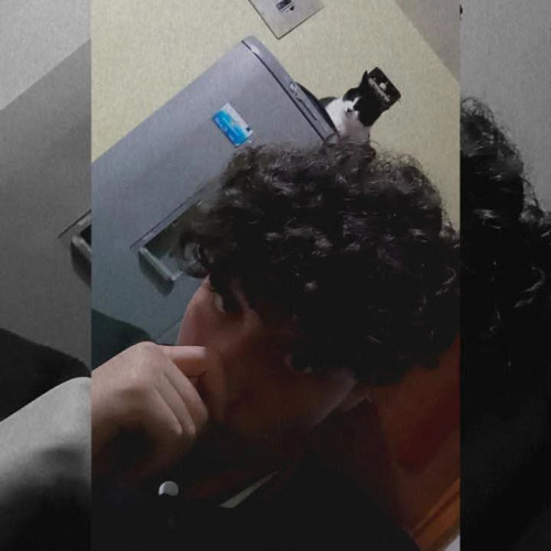 Camilo P.