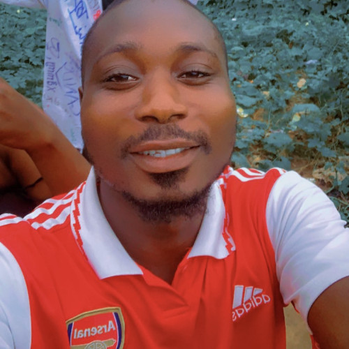 Olalekan A. profile photo