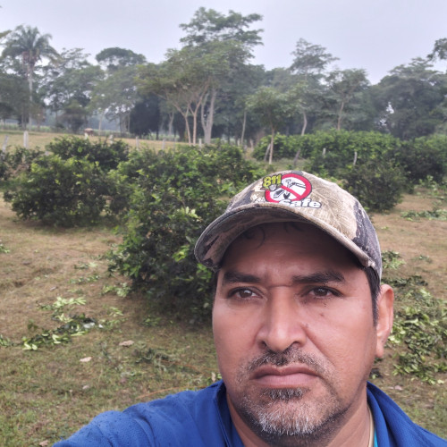 Noel V. profile photo