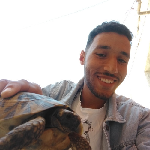 Walid  F. profile photo