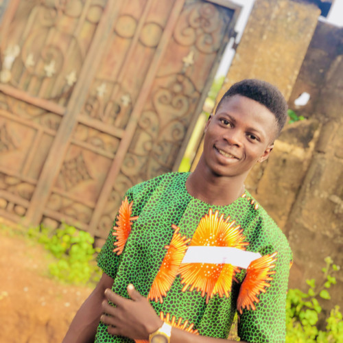 Adeyanju  P. profile photo