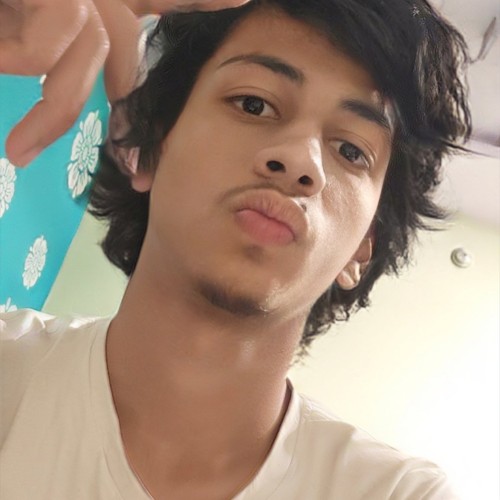 Shaik salman S.
