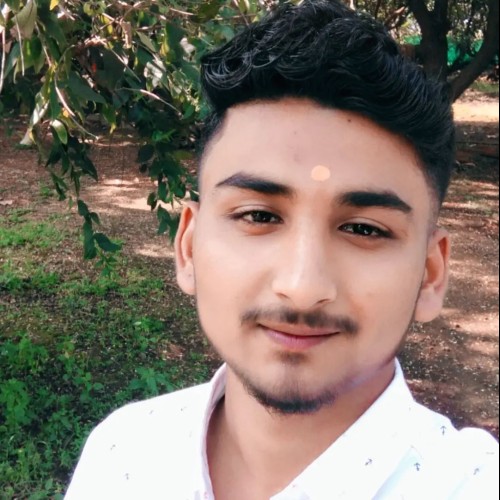 Shubham W.