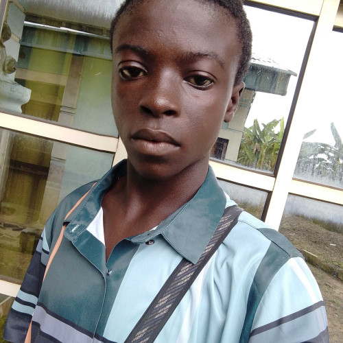 okpan o. profile photo