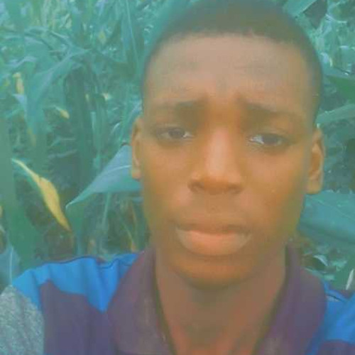 Fagbade E. profile photo
