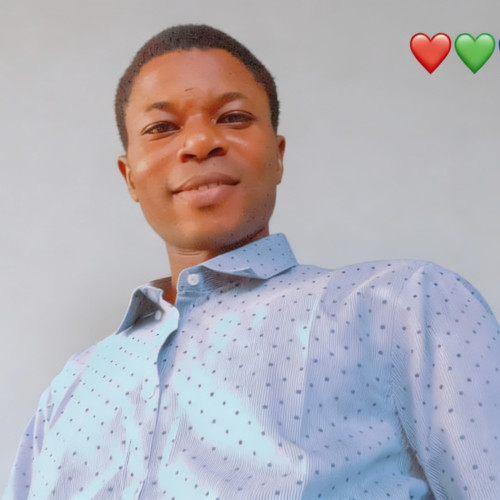 Oluwasegun  T. profile photo