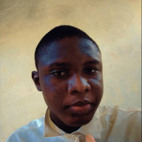 Owolola  B. profile photo