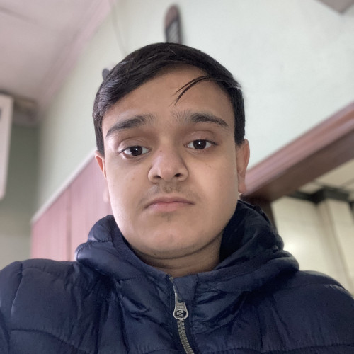 Ali K. profile photo