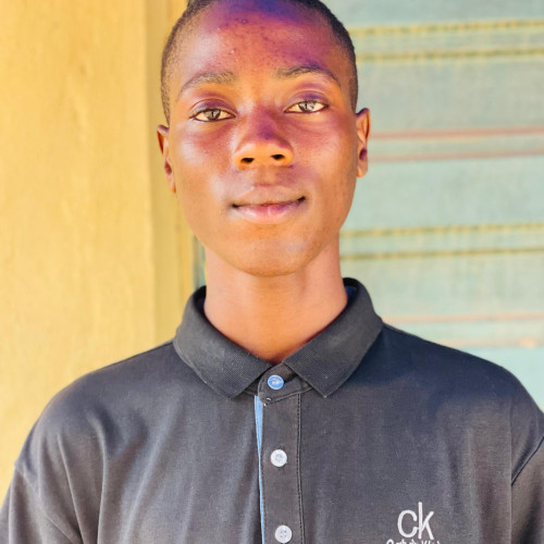 Olawale A. profile photo