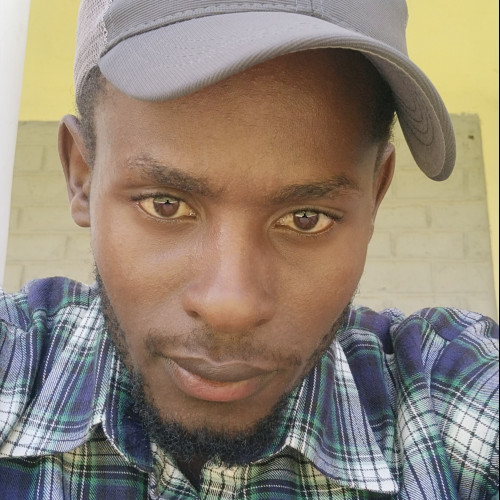 Freddy M. profile photo