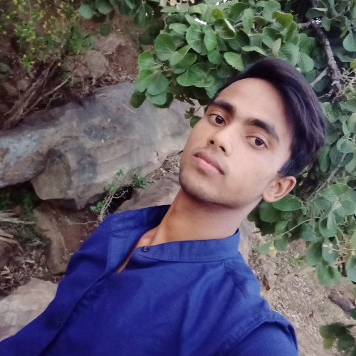 Ansh K. profile photo