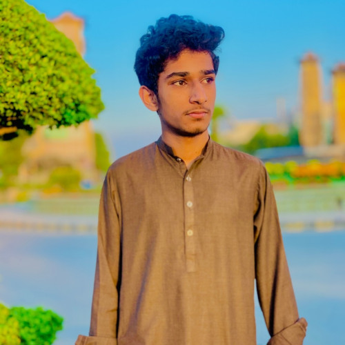 Mirza H.