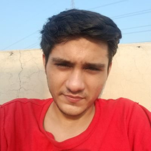 Sameer H. profile photo