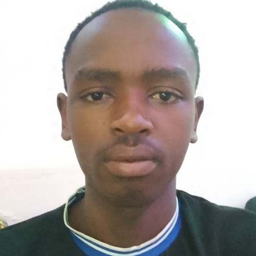 Vince S. profile photo