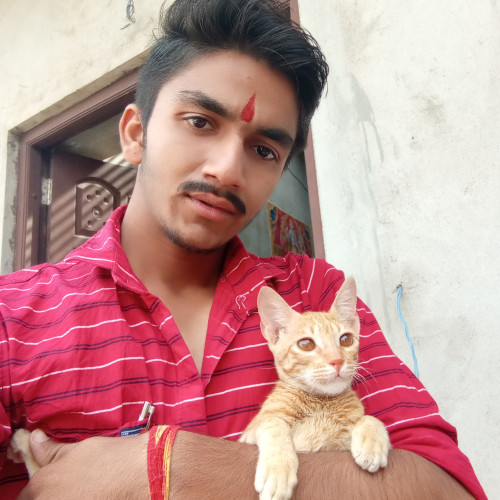 Jaswant G. profile photo