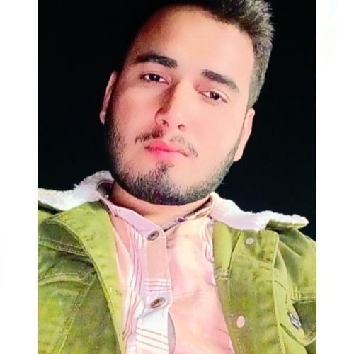 Irtaza  H.