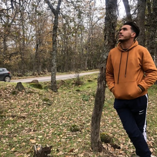 anas m.
