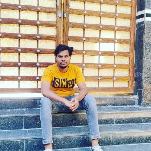 Biplab V. profile photo