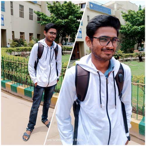Vishnu  V.