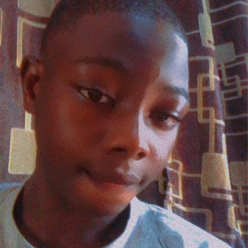 Sekoni Q.