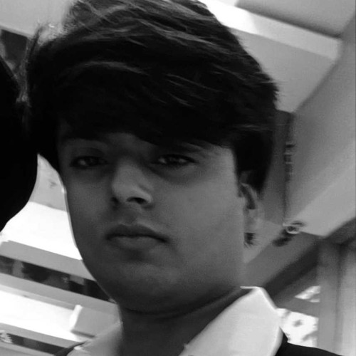 Himanshu S. profile photo