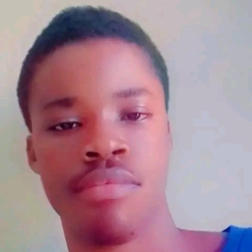 SOCRATES  N. profile photo
