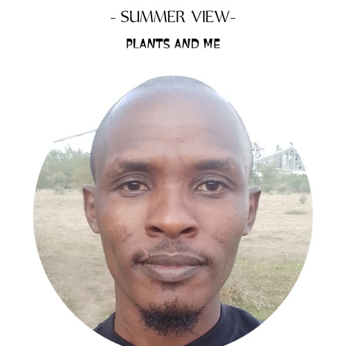 noah samanya o. profile photo