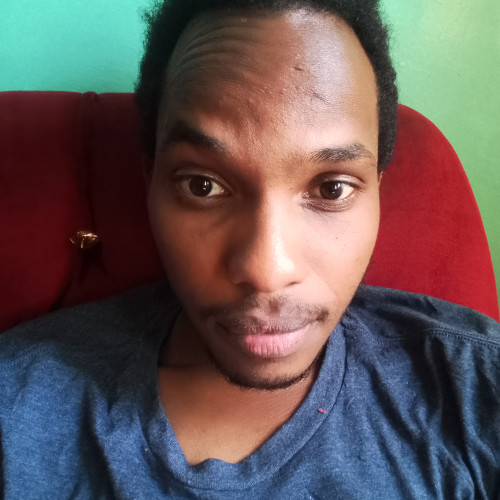 Roy N. profile photo