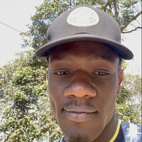 Festo M. profile photo