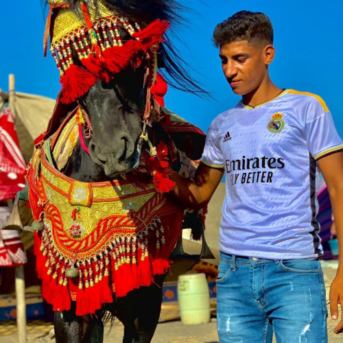 Ahmed E.
