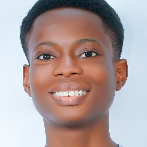 Olufunmi A. profile photo