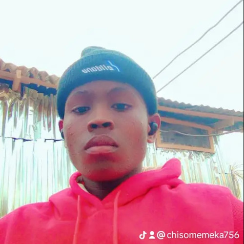 Chisom  E. profile photo