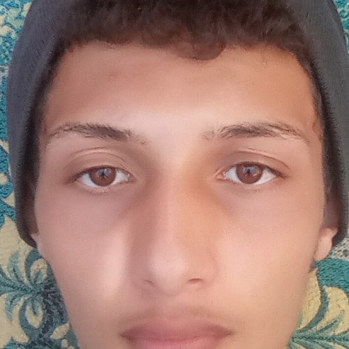 Houssam E. profile photo
