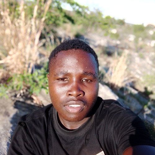 Freeman  O. profile photo