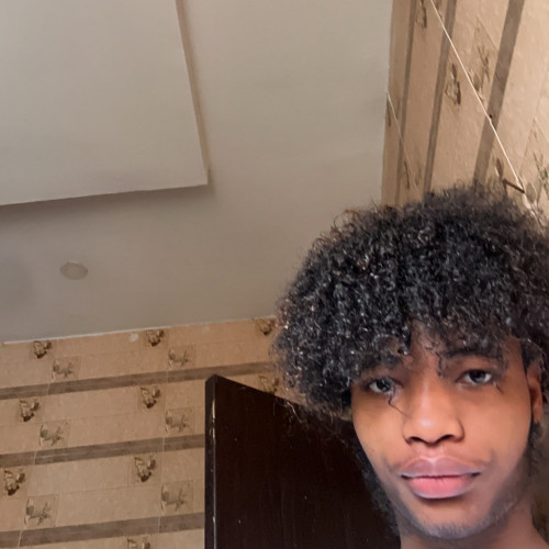 Travis M. profile photo