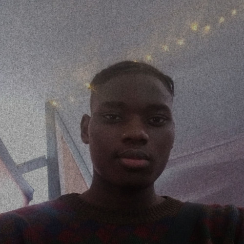 Iyanuoluwa  E. profile photo