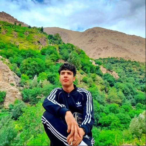 Hamza M. profile photo