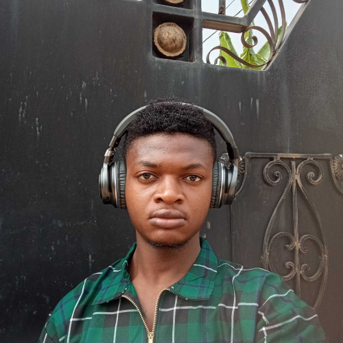 Olalekan M. profile photo