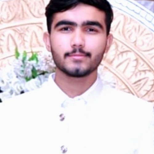 Ali  J.