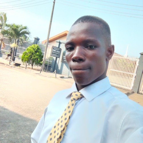 David  N. profile photo