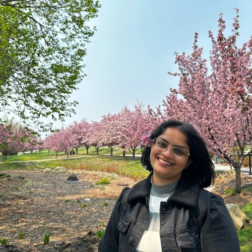 Simran N.