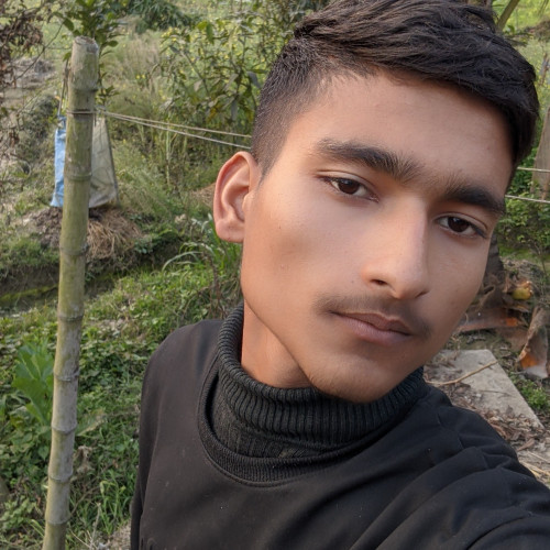 Madan D. profile photo