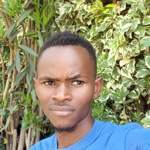 David M. profile photo