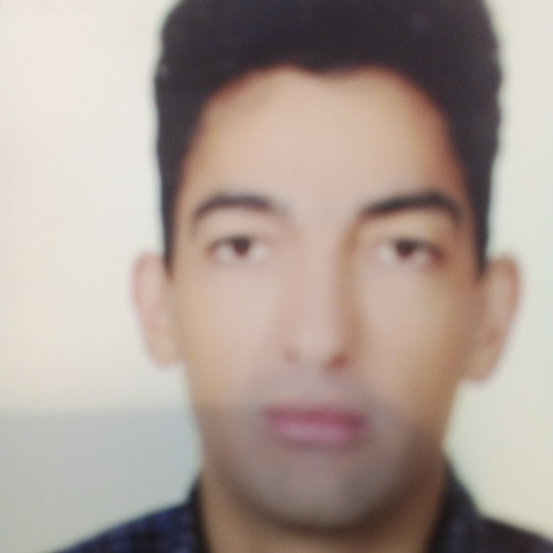 Behrouz N. profile photo