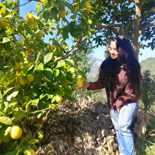 Charu B.