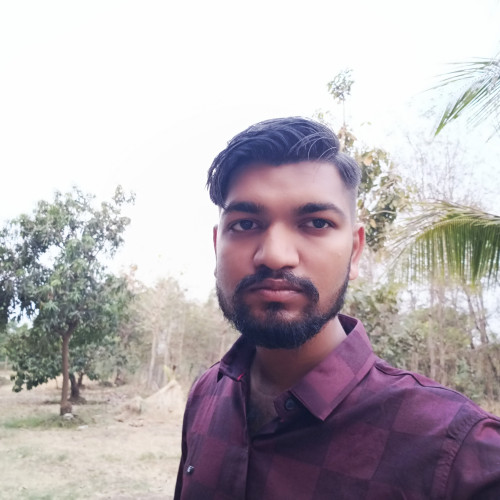 Mayur P.