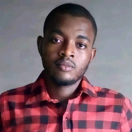 Olawale A. profile photo