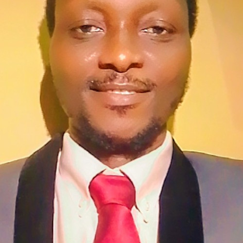 OLAJIDE  O. profile photo