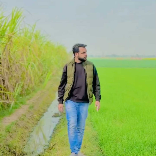 Taha A. profile photo